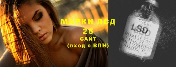 гидра Арсеньев