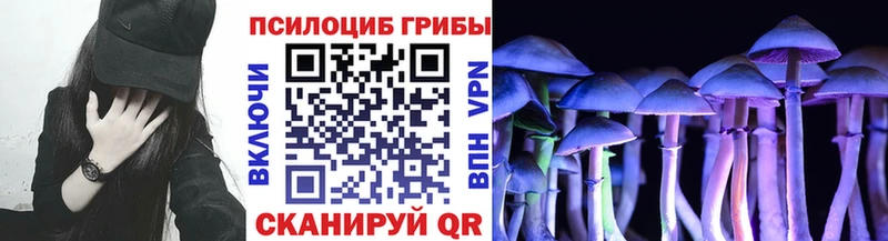 как найти закладки Кремёнки Галлюциногенные грибы MAGIC MUSHROOMS